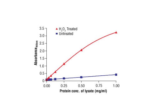 ELISA Image 2: PathScan<sup>®</sup> Phospho-Src (Tyr416) Sandwich ELISA Kit