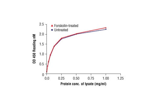 ELISA Image 2: PathScan<sup>®</sup> Total β-Catenin Sandwich ELISA Kit