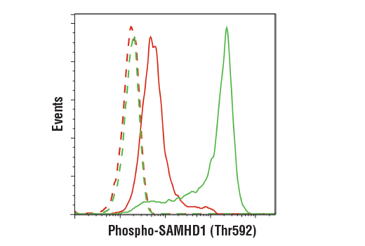 undefined Image 32: Host Cell Viral Restriction Factor Antibody Sampler Kit