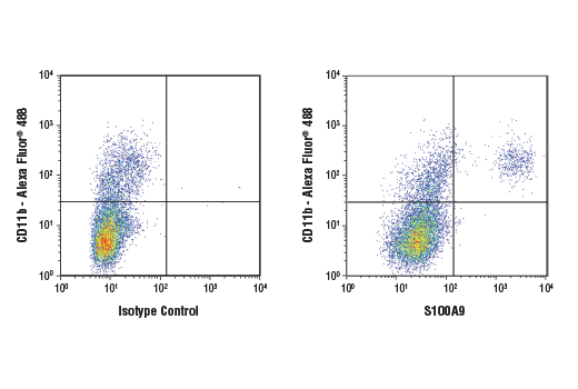 Flow Cytometry Image 1: S100A9 (D3U8M) Rabbit mAb
