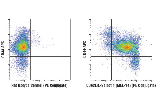 Flow Cytometry Image 1: CD62L/L-Selectin (MEL-14) Rat mAb (PE Conjugate)