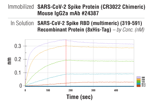 undefined Image 1: SARS-CoV-2 Spike RBD (multimeric) (319-591) Recombinant Protein (8xHis-Tag)