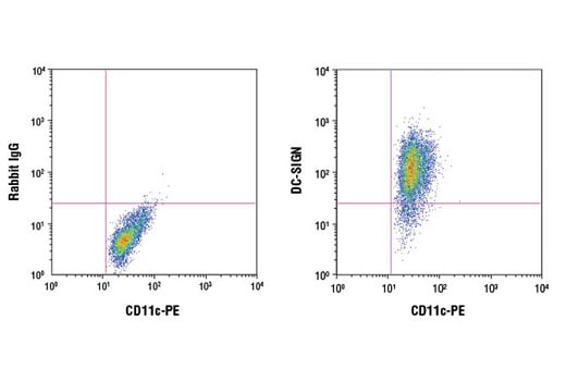 Flow Cytometry Image 1: DC-SIGN (D7F5C) XP<sup>®</sup> Rabbit mAb (BSA and Azide Free)