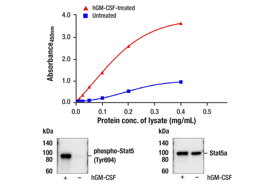 ELISA Image 1: PathScan<sup>®</sup> RP Phospho-Stat5a (Tyr694) Sandwich ELISA Kit