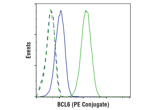 Flow Cytometry Image 1: BCL6 (D4I2V) XP<sup>®</sup> Rabbit mAb (PE Conjugate)