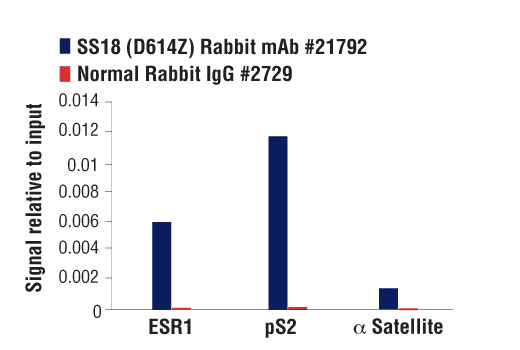 undefined Image 67: BAF Complex IHC Antibody Sampler Kit