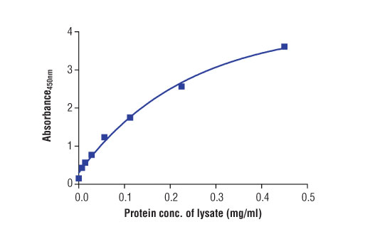 ELISA Image 2: PathScan<sup>®</sup> Total HDAC4 Sandwich ELISA Kit