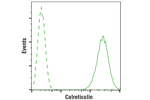undefined Image 30: MHC Class I Antigen Processing and Presentation Antibody Sampler Kit