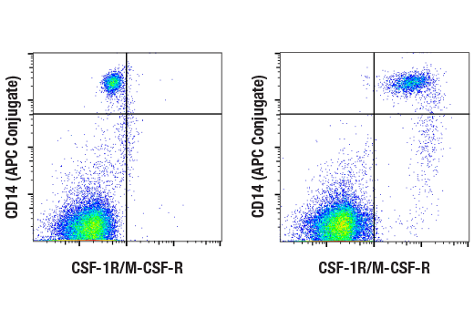 Flow Cytometry Image 1: CSF-1R/M-CSF-R (D3O9X) XP<sup>®</sup> Rabbit mAb