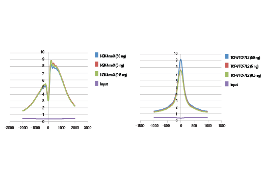 Chromatin Immunoprecipitation Image 3: DNA Library Prep Kit for Illumina Systems (ChIP-seq, CUT&RUN)