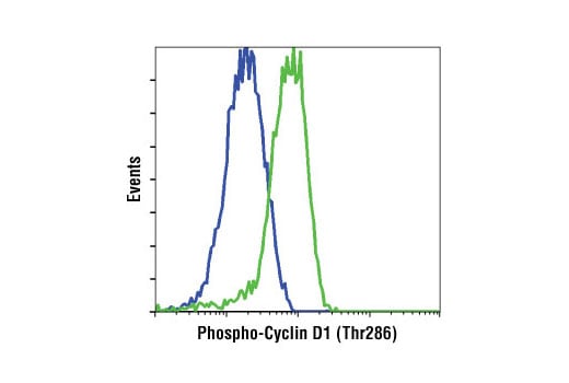 Flow Cytometry Image 1: Phospho-Cyclin D1 (Thr286) (D29B3) XP<sup>®</sup> Rabbit mAb