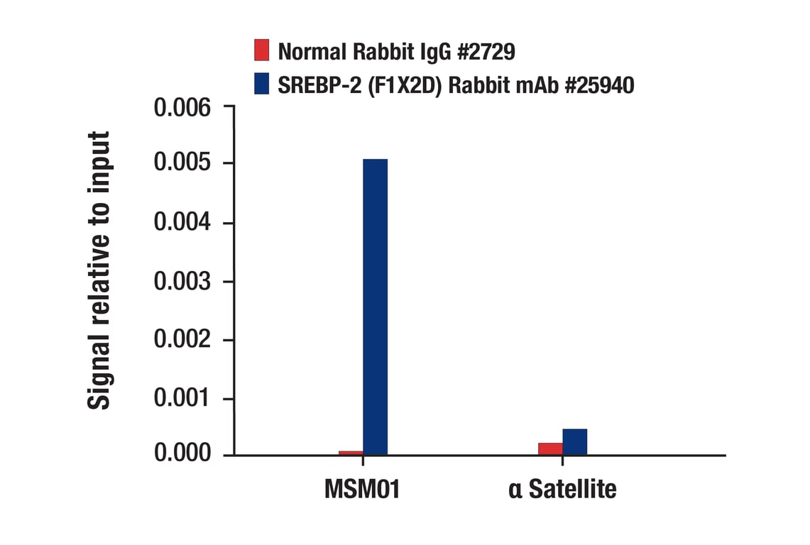 Chromatin Immunoprecipitation Image 1: SREBP-2 (F1X2D) Rabbit mAb