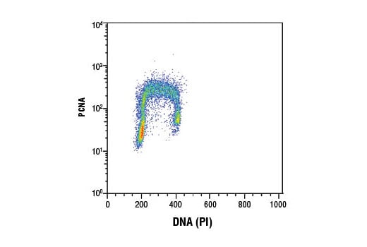 Flow Cytometry Image 1: PCNA (D3H8P) XP<sup>®</sup> Rabbit mAb 