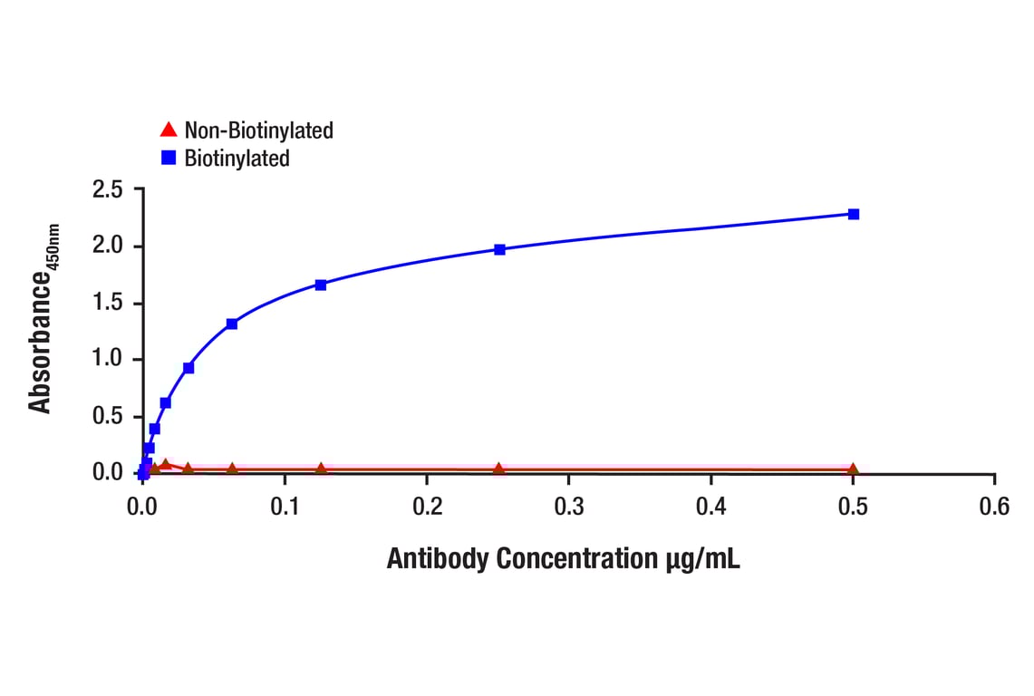 E Image 1: Phospho-Akt (Ser473) (587F11) Mouse mAb (Biotinylated)