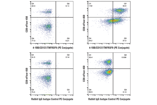 Flow Cytometry Image 1: 4-1BB/CD137/TNFRSF9 (D2Z4Y) Rabbit mAb (PE Conjugate)