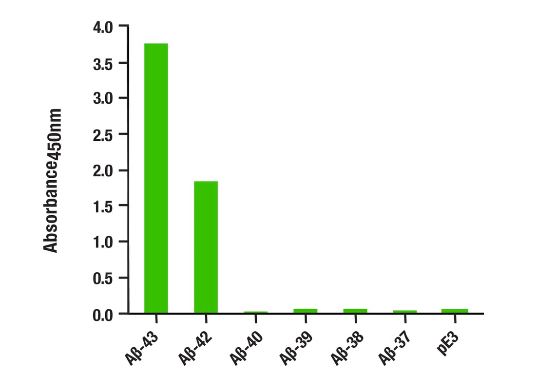 ELISA Image 1: β-Amyloid (1-43) (E8C2D) Rabbit mAb (BSA and Azide Free)