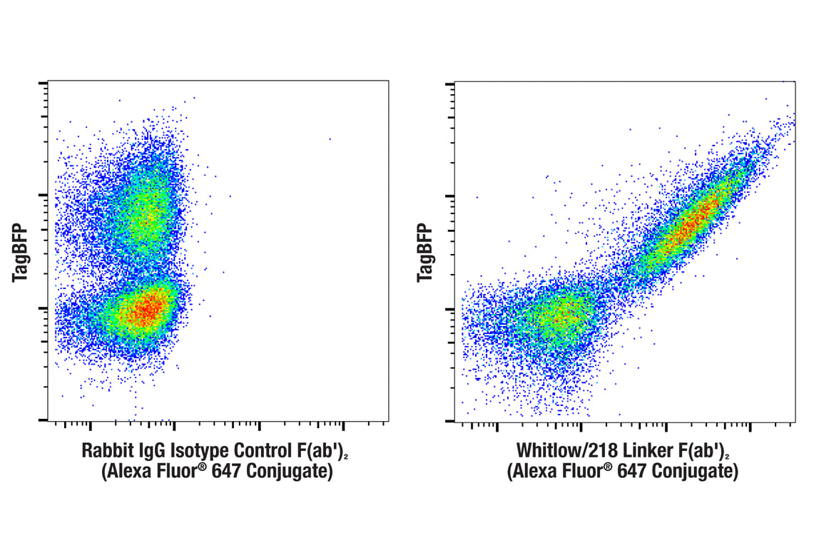 Flow Cytometry Image 1: Whitlow/218 Linker (E3U7Q) F(ab')<sub>2</sub> Fragment (Alexa Fluor® 647 Conjugate)