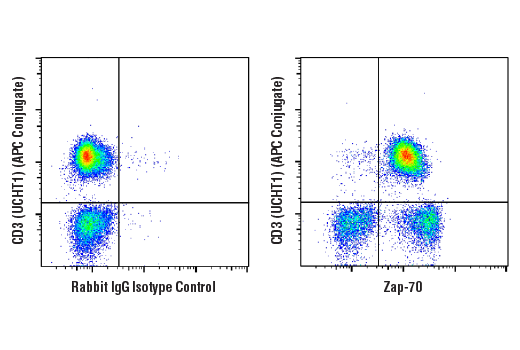 Flow Cytometry Image 1: Zap-70 (D1C10E) XP<sup>®</sup> Rabbit mAb