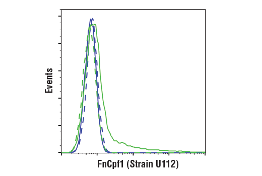 undefined Image 15: Cas9 and Associated Proteins Antibody Sampler Kit