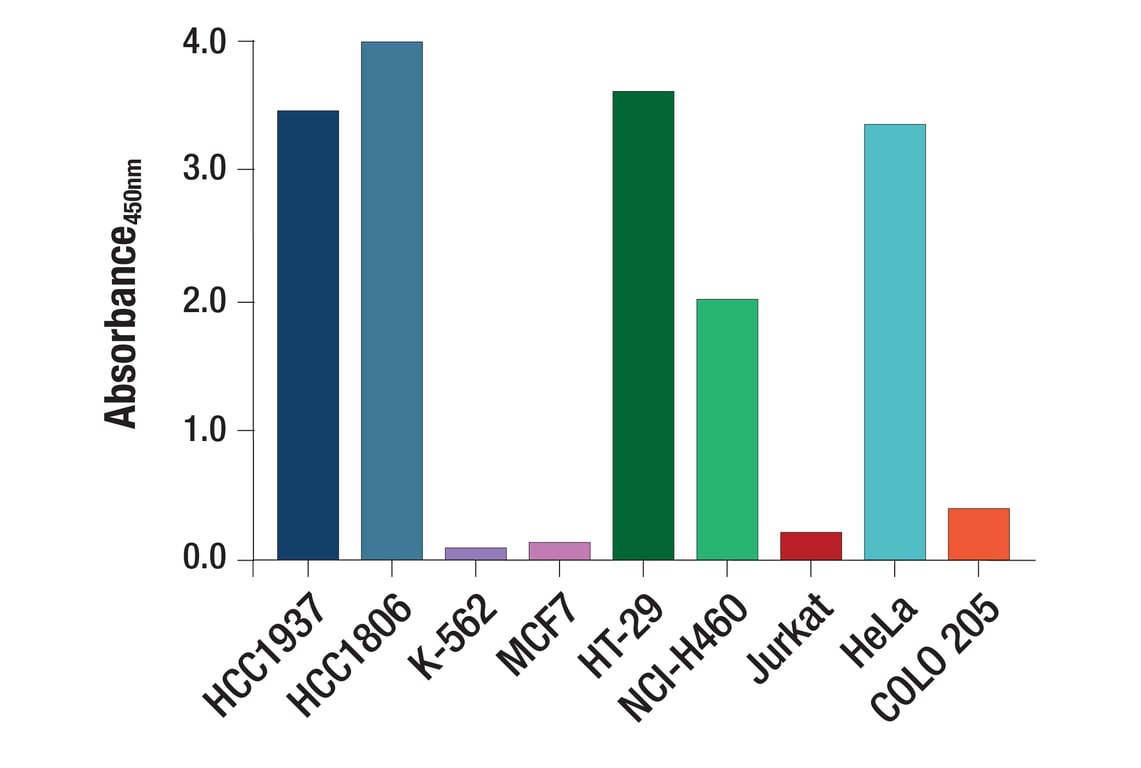 ELISA Image 3: EGF Receptor (C74B9) Rabbit mAb (BSA and Azide Free)