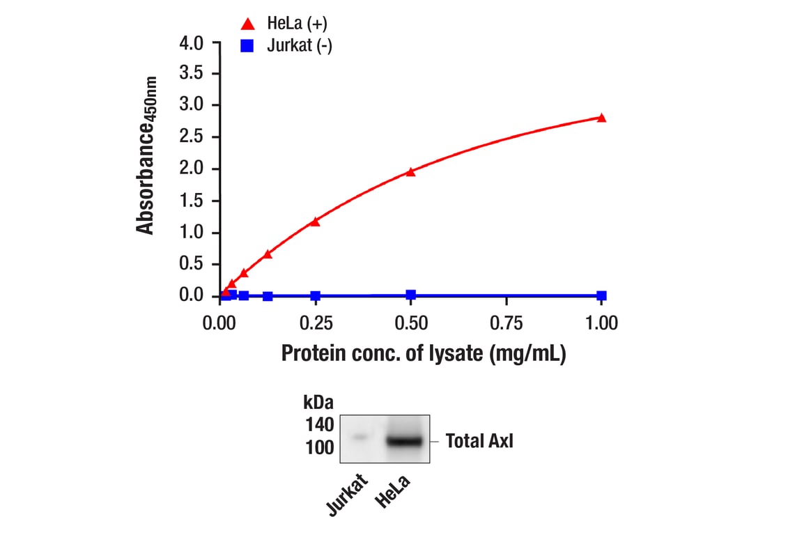 ELISA Image 1: PathScan<sup>®</sup> Total Axl Sandwich ELISA Kit
