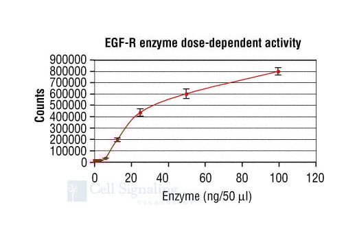 HTScan® EGFR Kinase Assay Kit: Image 1