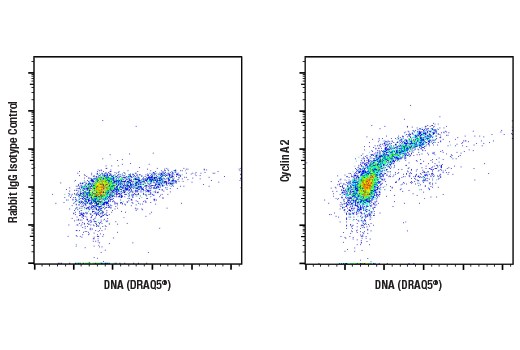 Flow Cytometry Image 1: Cyclin A2 (E6D1J) XP<sup>®</sup> Rabbit mAb