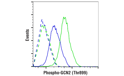 undefined Image 6: PhosphoPlus <sup>®</sup> GCN2 (Thr899) Antibody Duet