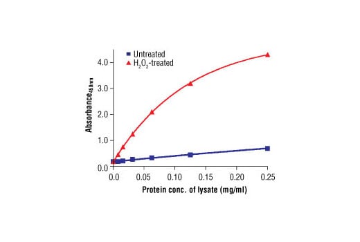 ELISA Image 1: PathScan<sup>®</sup> Phospho-Src (Tyr416) Sandwich ELISA Antibody Pair