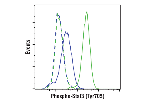 undefined Image 32: Stat3/Stat5 Signaling Antibody Sampler Kit