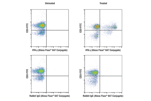 Flow Cytometry Image 1: IFN-γ (D3H2) XP® Rabbit mAb (Alexa Fluor® 647 Conjugate)
