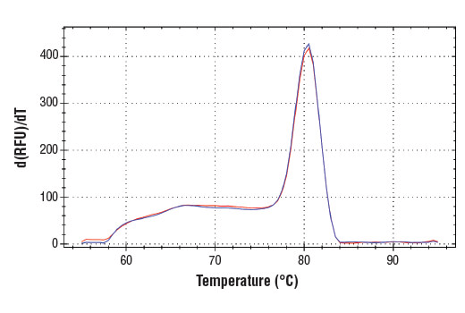 Chromatin Immunoprecipitation Image 1: SimpleChIP<sup>®</sup> Human ID1 5'UTR Primers