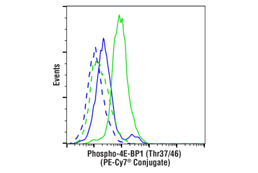 Flow Cytometry Image 1: Phospho-4E-BP1 (Thr37/46) (236B4) Rabbit mAb (PE-Cy7<sup>®</sup> Conjugate)