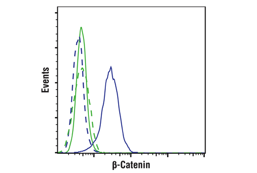 Flow Cytometry Image 1: β-Catenin (D10A8) XP<sup>®</sup> Rabbit mAb (BSA and Azide Free)