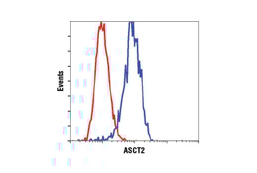 Flow Cytometry Image 1: ASCT2 (D7C12) Rabbit mAb (BSA and Azide Free)
