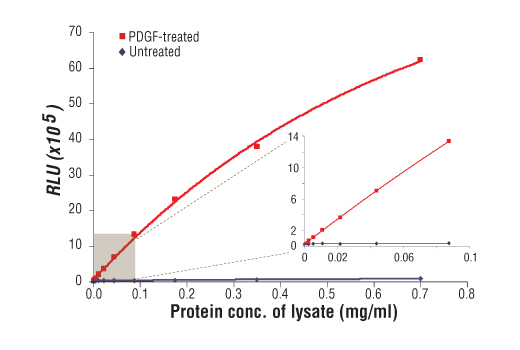 ELISA Image 1: PathScan<sup>®</sup> Phospho-Akt (Thr308) Chemiluminescent Sandwich ELISA Kit