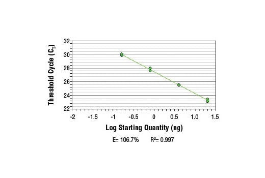 Chromatin Immunoprecipitation Image 2: SimpleChIP<sup>®</sup> Human IFN-γ Promoter Primers