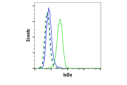 undefined Image 11: PhosphoPlus<sup>®</sup> IκBα (Ser32/Ser36) Antibody Duet