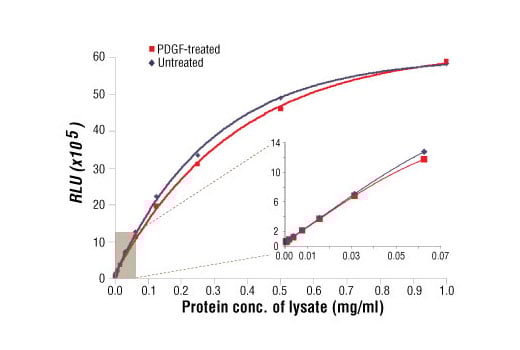 ELISA Image 1: PathScan<sup>®</sup> Total Akt1 Chemiluminescent Sandwich ELISA Kit