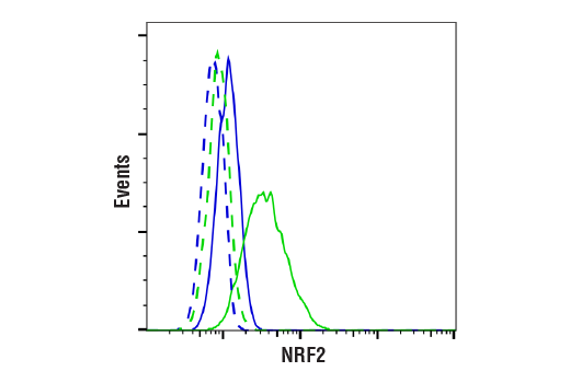 Flow Cytometry Image 1: NRF2 (D1Z9C) XP<sup>®</sup> Rabbit mAb (BSA and Azide Free)