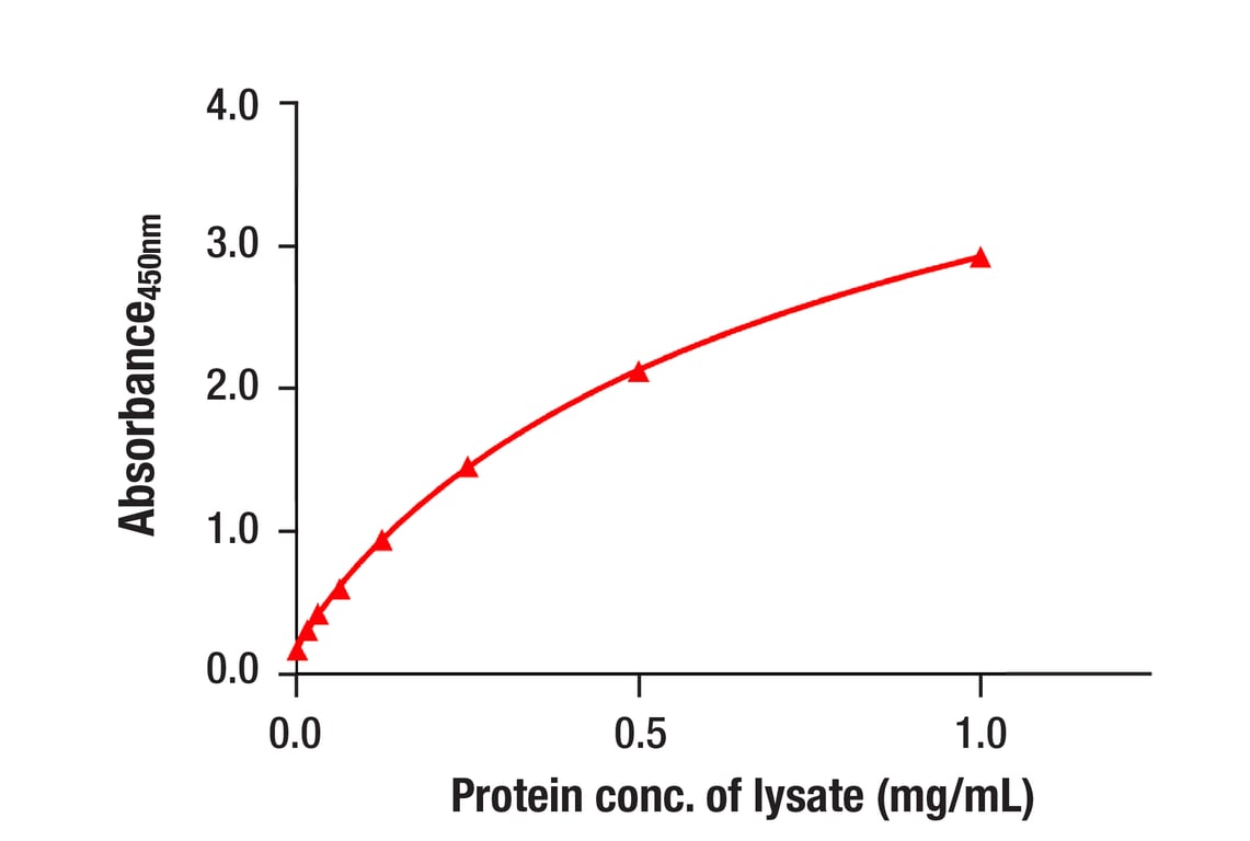 ELISA Image 1: Ezh2 (D2C9) XP<sup>®</sup> Rabbit mAb (BSA and Azide Free)