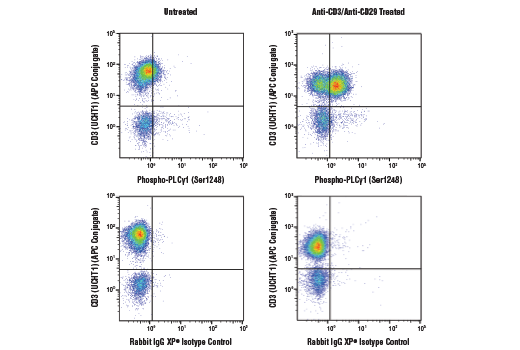 undefined Image 45: Angiogenesis Antibody Sampler Kit
