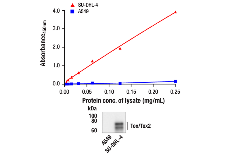 ELISA Image 1: PathScan<sup>®</sup> RP Tox/Tox2 Sandwich ELISA Kit