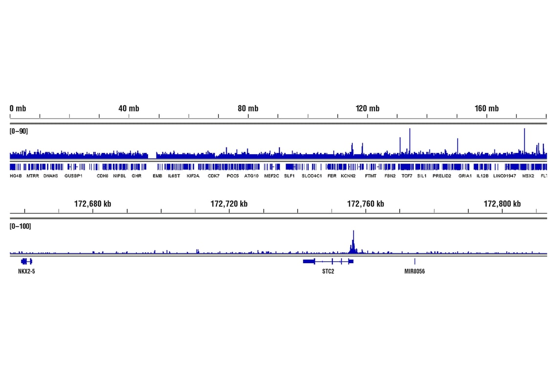undefined Image 58: Microglia Neurodegeneration Module Antibody Sampler Kit
