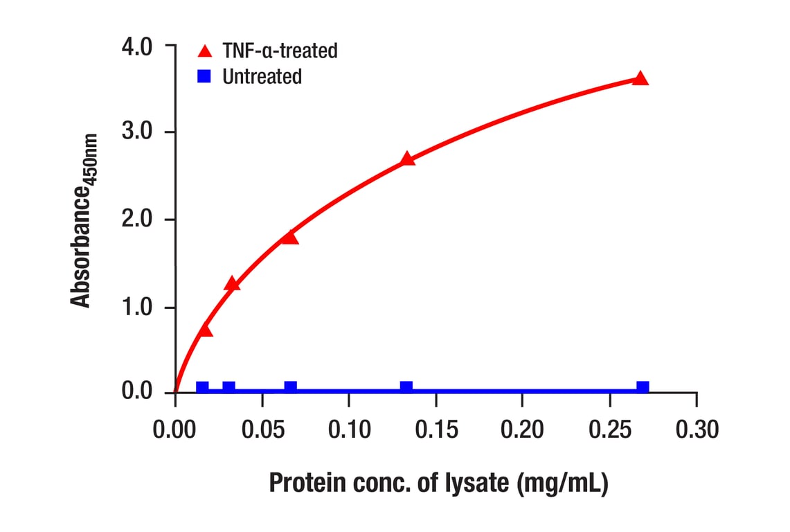 ELISA Image 1: Phospho-NF-κB p65 (Ser536) (7F1) Mouse mAb (BSA and Azide Free)
