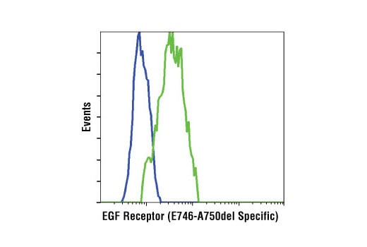 undefined Image 26: Lung Cancer RTK Antibody Sampler Kit