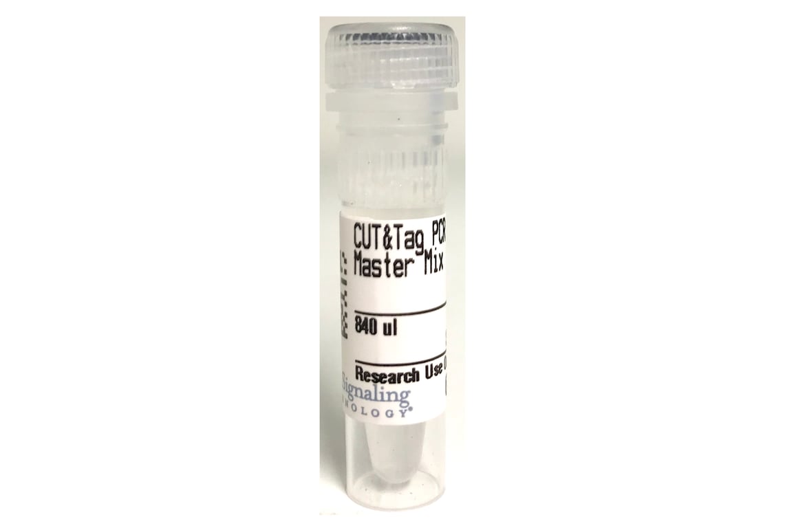 CUT&Tag PCR Master Mix: Image 1