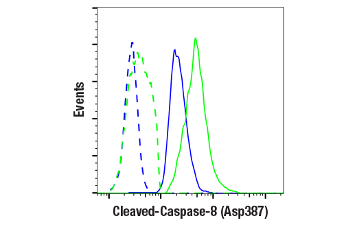 Flow Cytometry Image 1: Cleaved Caspase-8 (Asp387) (D5B2) XP<sup>®</sup> Rabbit mAb