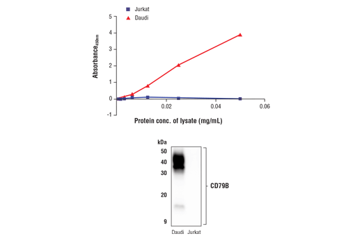 ELISA Image 1: FastScan<sup>™</sup> Total CD79B ELISA Kit