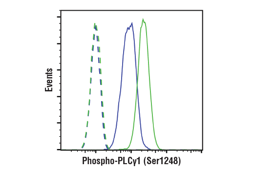 undefined Image 49: Angiogenesis Antibody Sampler Kit